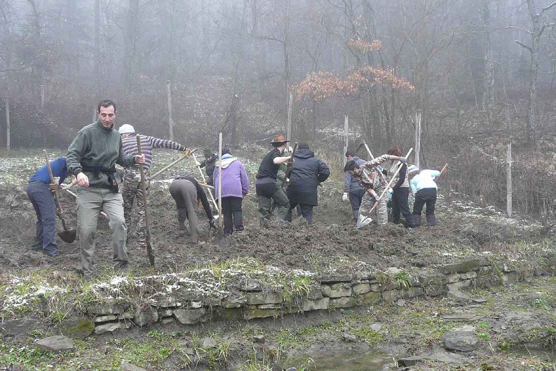 Volontanfibi 2013: grossi sassi piatti!
